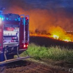 48/2016 – 18.04.2016 Radzików – Pożar trzciny i trawy.